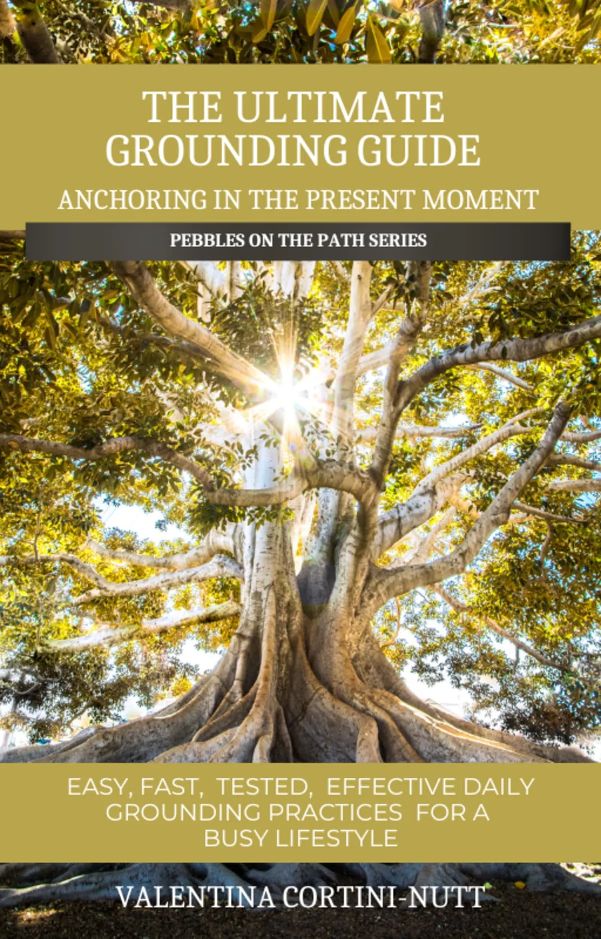 The Ultimate Grounding Guide eBook cover